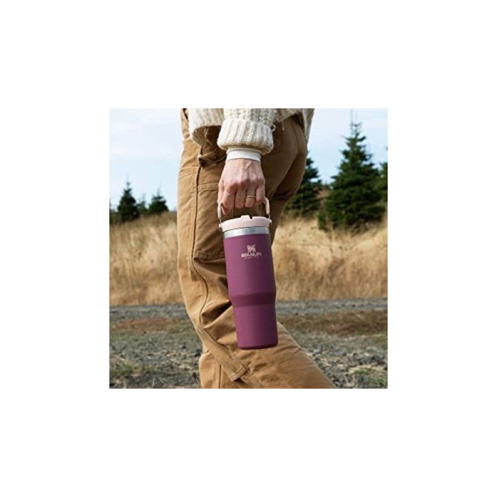 STAN 30OZ CLASSIC FLIP STRAW TUMBÿRASPEBERRY Chile