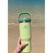 STAN 30OZ CLASSIC FLIP STRAW TUMBÿCITRON | Termos stanley