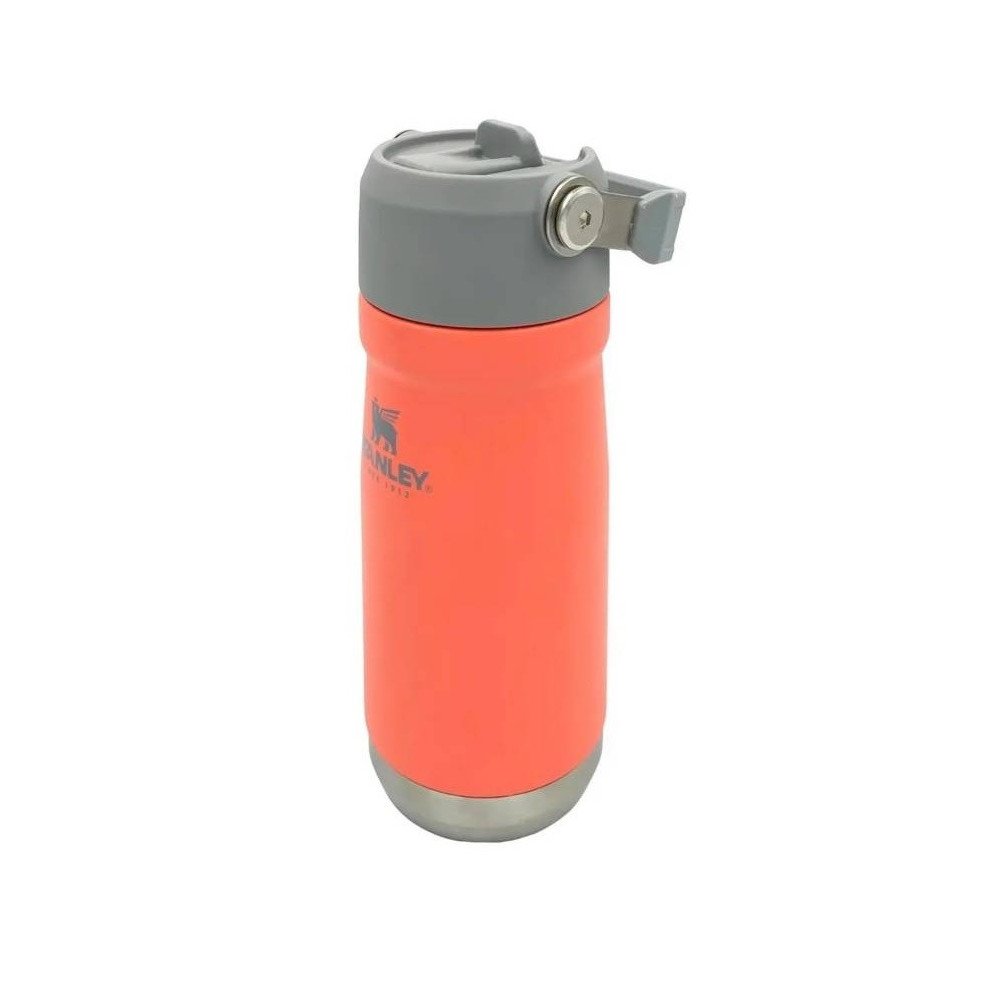 STAN 17OZ CLASSIC BOTELLA HIDRATACION CON BOMBILLA GUAVA