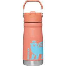 Botella Térmica Stanley The IceFlow Flip Straw Kids (500mL)