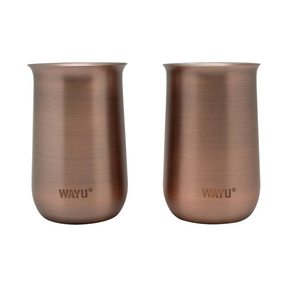 SET 2 VASOS APERITIVO COPPER LINE WAYU